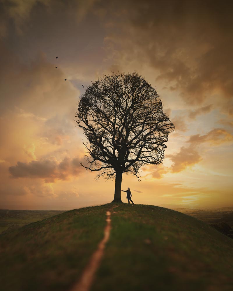 A man stand leaning with one arm against a tree shaped like the silhouette of face